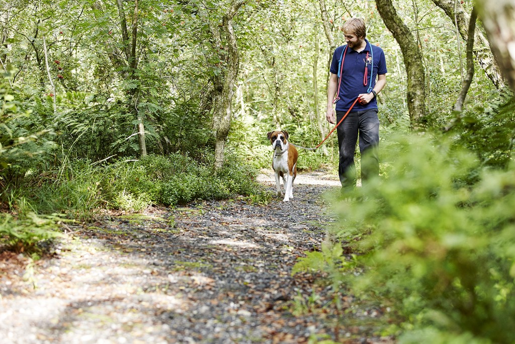 Newgate Kennels, Cattery, Spa & Grooming Wilmslow, Cheshire