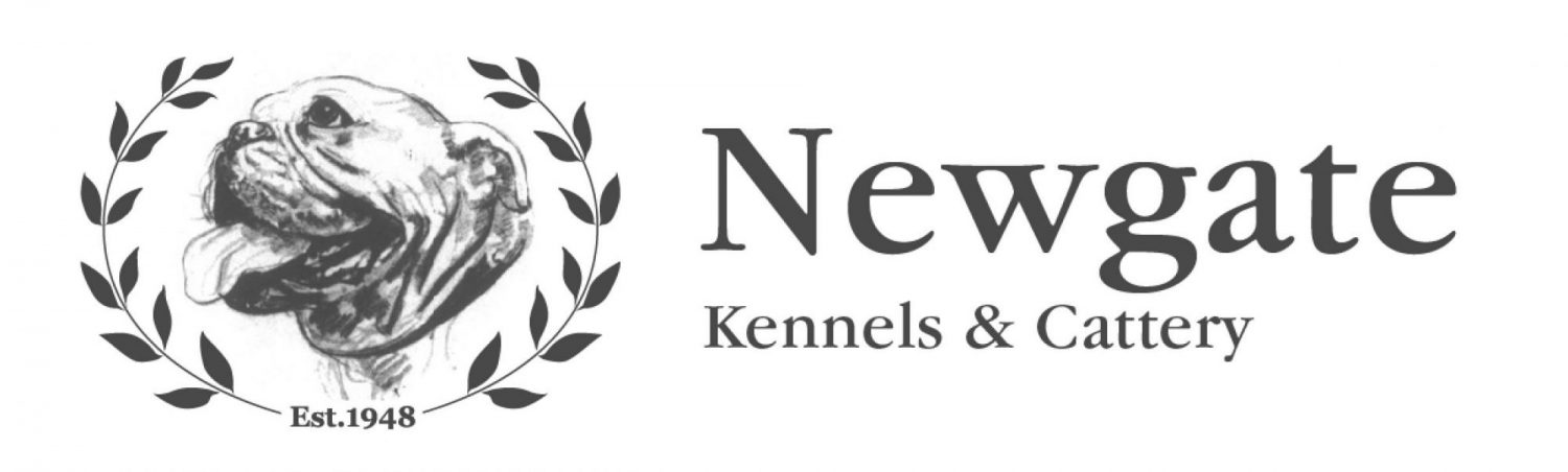 Newgate Kennels & Cattery