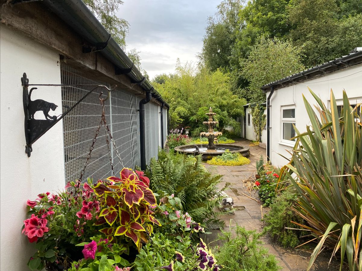 Client Update 1st August 2021
