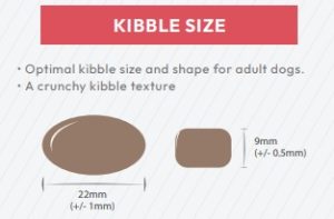 Rotherwood Mill Super Premium Salmon with Trout, Potato and Skin-soothe Adult Dog Food Kibble Size